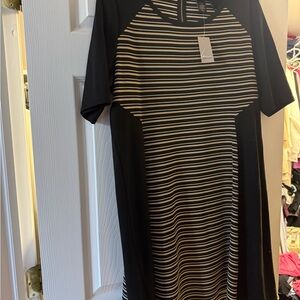 Brand New Striped Black and Cream Dress
